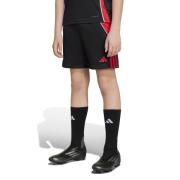 adidas Treningsshorts Tiro 24 - Sort/Pure Ruby Barn