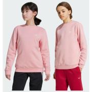 Adidas Original Crew Sweatshirt Kids