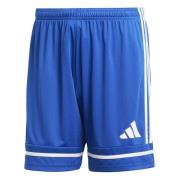 adidas Shorts Squadra 25 - Blå/Hvit