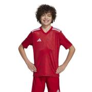 adidas Spillerdrakt Team Icon 25 - Rød/Hvit Barn