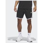 Adidas adidas Crazy Lite Shorts