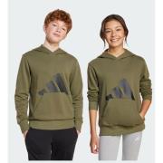 Adidas Essentials Hoodie Kids