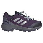 Adidas Terrex GORE-TEX Hiking Shoes