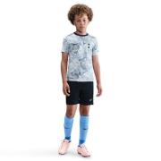 Tottenham Trenings T-Skjorte Dri-FIT Academy Pro Pre Match - Hvit/Grå/...