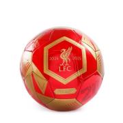 Liverpool Fotball Champions - rød/Gull