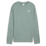 ESS Small No. 1 Logo Relaxed Crew TR Green Moon
