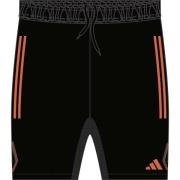 adidas Treningsshorts Tiro 23 Pro - Svart/Oransje