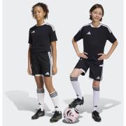 Adidas TIRO 26 COMPETITION MATCH DAY SHORTS KIDS