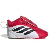 adidas Predator Crib IN Born For Goals - Lucid Red/Svart/Fottøy Hvit B...