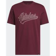 Adidas Varsity Tailsweep Graphic T-shirt