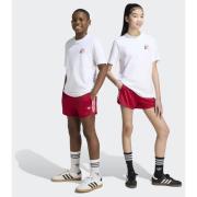 Adidas Originals PINSTRIPE SPRINTER SHORTS